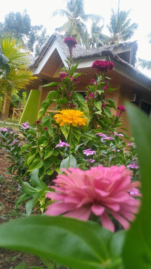Miki'S Guest House Сикихор Экстерьер фото